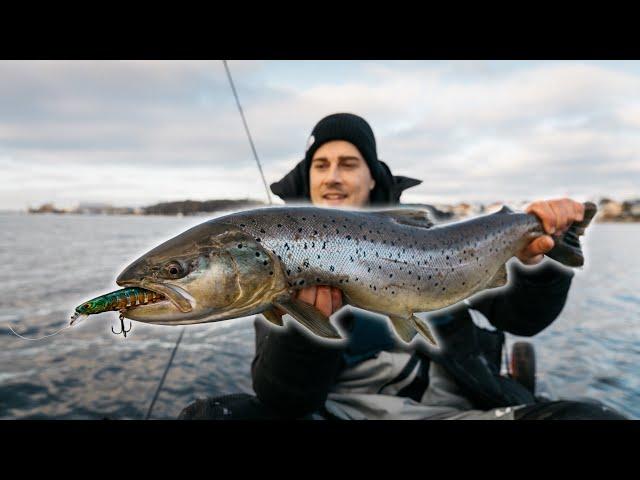 Das glaubt uns keiner: Monster-Fisch in der Stadt gefangen. Catch & Cook