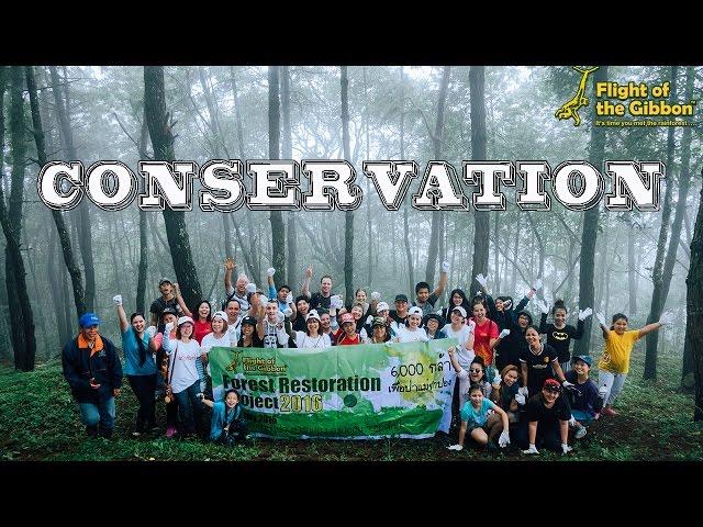 Conservation & Eco-Tourism - Chiang Mai, Thailand - Flight of the Gibbon