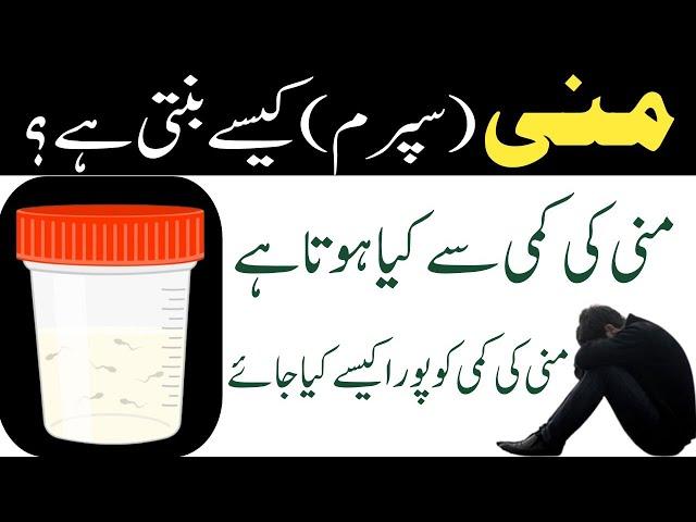 Mani ( Sperm ) Kase Banti Hai | Mani Ko Ghara Karne Ka Tarika | Sperm Ki Kami Ka ilaj Urdu Hindi