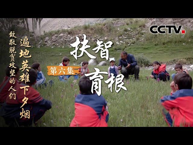 《遍地英雄下夕烟——致敬脱贫攻坚的人们》第六集 扶智育根 | CCTV