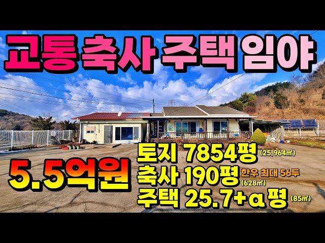 (NO.8491) 교통 좋고 경치 좋은 단독주택, 축사, 넓은 땅과 임야 7,854평 25,964㎡ 5.5억원