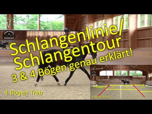 F139 Hufschlagfiguren: Schlangenlinien und Schlangentouren in 3 & 4 Bögen im Schritt, Trab & Galopp