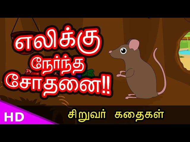 எலிக்கு நேர்ந்த சோதனை Rat life of trial Bed time Story - KidsTv Sirukathaigal