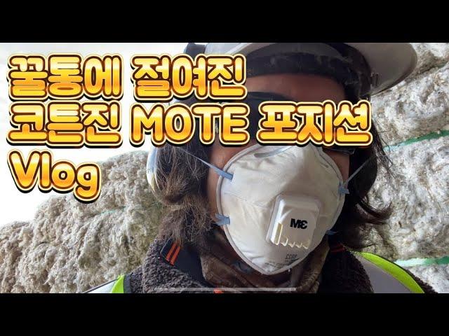 [호주워홀] 쉬는 시간을 내 마음대로 정하는 코튼진  모트 포지션 vlog