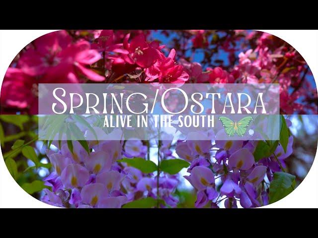 A Sacred Refresh: OSTARA/SPRING