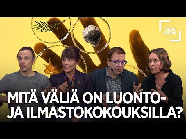 Mitä väliä on luonto- ja ilmastokokouksilla?