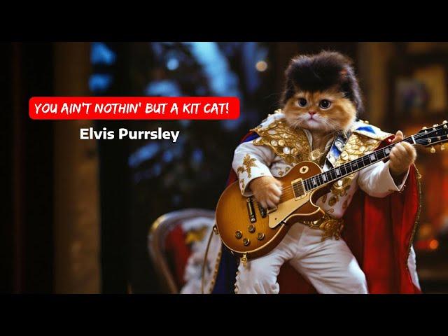 Kit Cat - Elvis Purrsley | Official Meowsic Video | 