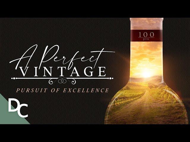 The Pursuit For The Perfect Wine | A Perfect Vintage | Wine Documentary | Documentary Central