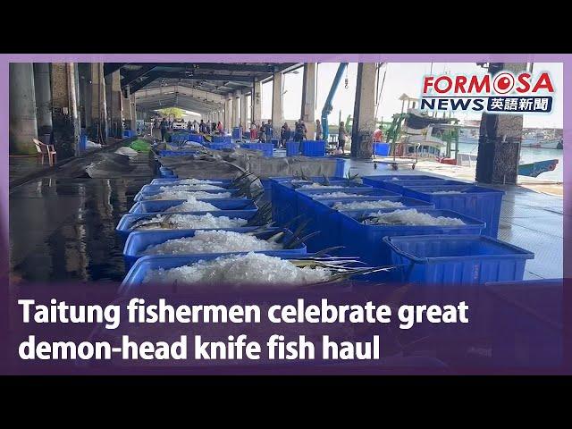 Taitung fishermen celebrate great demon-head knife fish haul｜Taiwan News