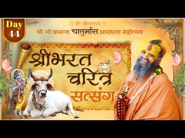 Day 44 भरत चरित्र। श्री गो करुणा चातुर्मास आराधना महोत्सव, रेवासा । 13.09.2024