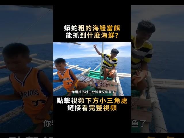 蟒蛇一樣粗的海鰻，撒進魚籠當誘餌，一天能捕到什麽海鮮？#shorts