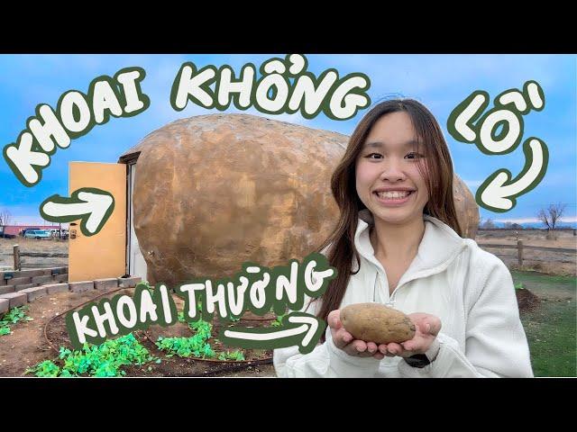 24H SỐNG TRONG CỦ KHOAI TÂY KHỔNG LỒ Ở MỸ 