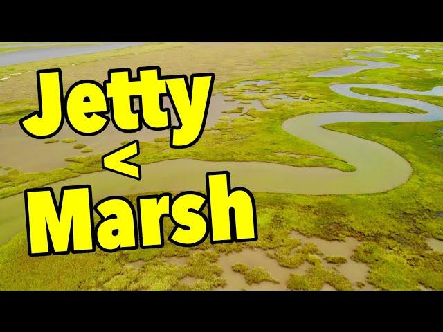 This is why MARSH FISHING is better than the Jetty!!! “Beauty & Chaos”