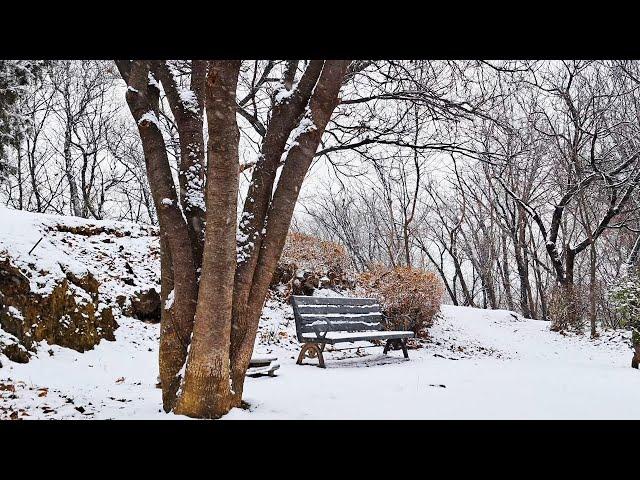 The quiet sound of snow to relieve stress and heal. Snow sounds ASMR. ️️‍️