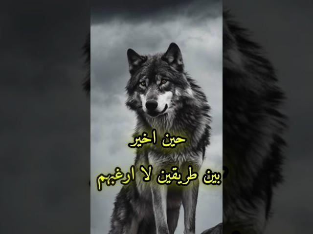 حكم وأقوال ملهمه عن واقع الحياة #حياة#حكم#أقوال#shorts#إلهام#تحفيز#نصائح_حياتية #كلام_من_ذهب