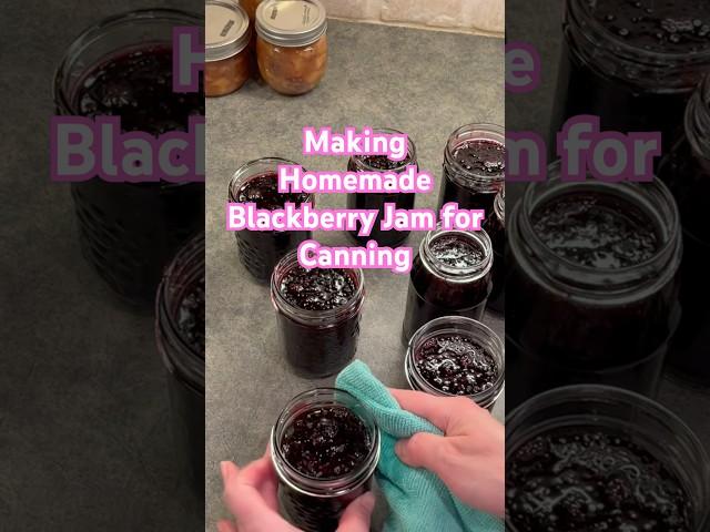 Making Homemade Blackberry Jam for Canning #shorts #foodpreservation #canning #homesteading #jam