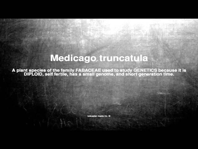 Medical vocabulary: What does Medicago truncatula mean