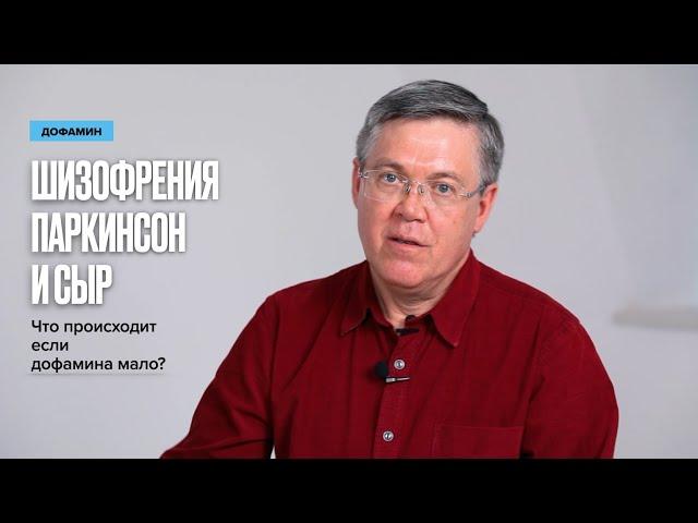 Дофамин, Паркинсон, Шизофрения и возбуждающий сыр!) Вячеслав Дубынин