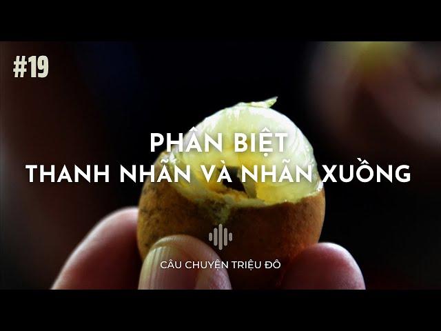 Phân biệt để không mua lầm thanh nhãn và nhãn xuồng | Câu Chuyện Triệu Đô - Podcast 19#