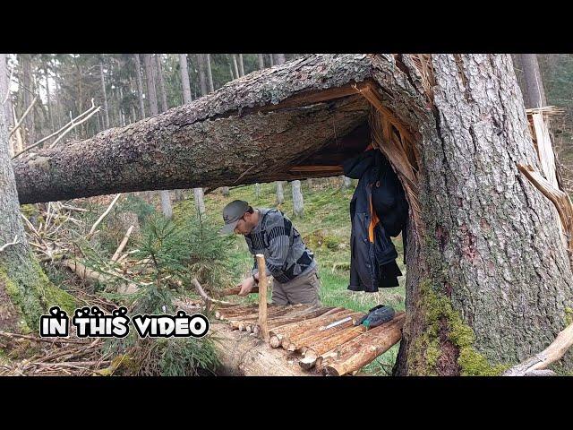 Broken tree into waterproof and warm shelter to survive