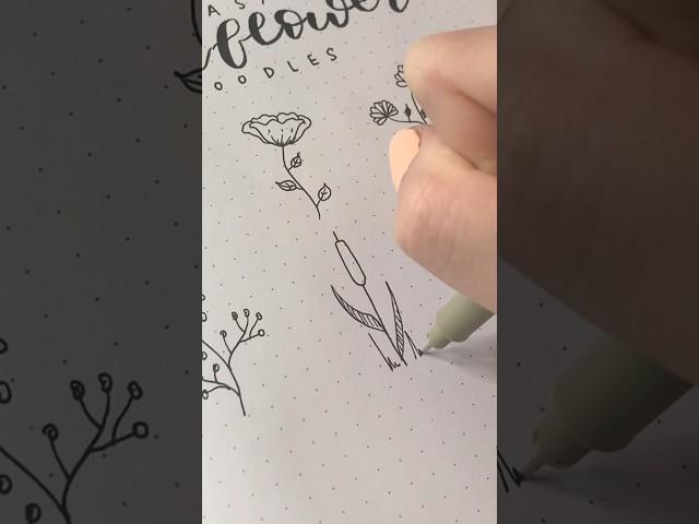 What are these called?! Easy wildflower doodle part 5 #drawing #bulletjournal #doodle