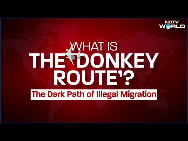 US Donkey Route | Over 100 Indians Deported From US: How 'Donkey Route' Business Works