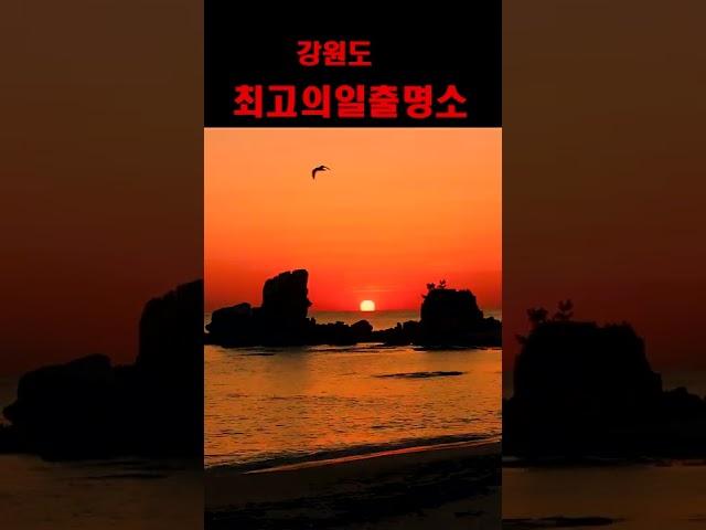 해돋이 일출 명소 해돋이명소   sunrise  강원도  공현진  스뭇개바위  해돋이영상