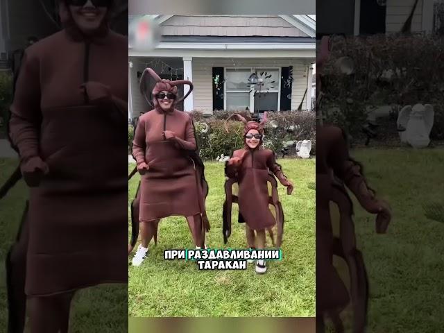 Никогда так не делаете ￼