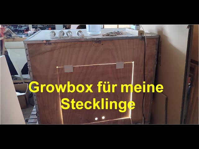 Growbox für meine Stecklinge