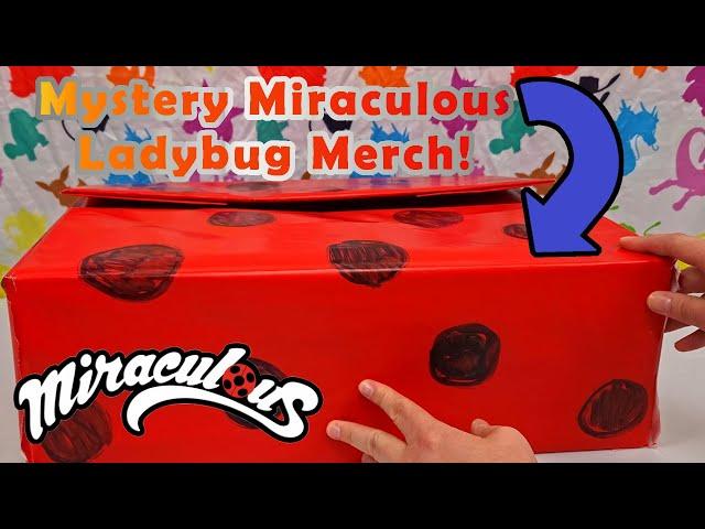 Opening Miraculous Ladybug Mystery Box - HOMEMADE! | November 2024