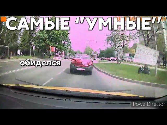 Подборка САМЫХ "УМНЫХ" водителей #1141