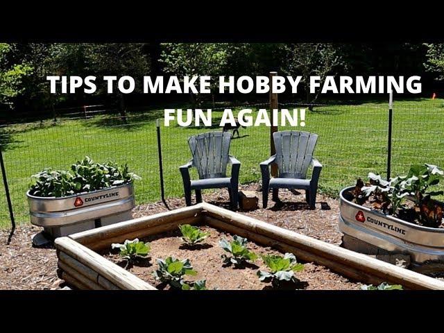 HOBBY FARM IDEAS FOR BEGINNERS!