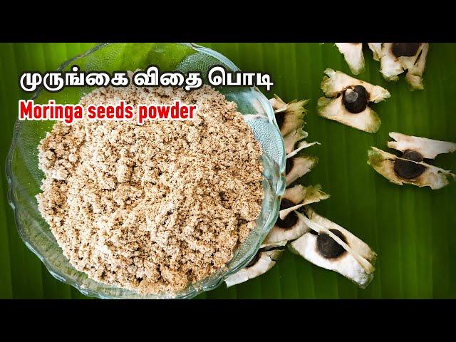 Moringa seeds | Moringa seeds powder  | Drumstick seeds | முருங்கை விதைபொடி