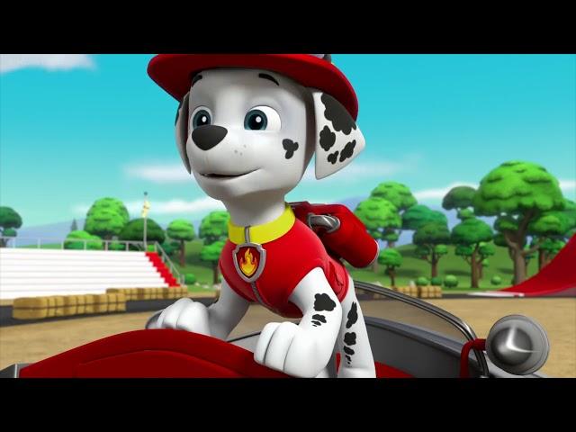 Paw patrol ll wildcat comes to the adventure bay ll Moto pups pups vs.the ruff ruff pack