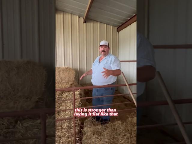 Stacking hay in the barn