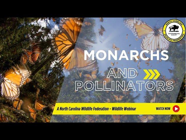 Monarchs & Pollinators - North Carolina Wildlife Federation