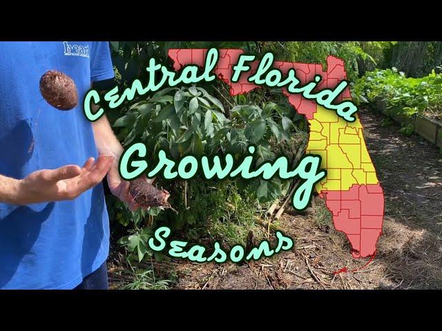 Florida Gardening: What To Plant, When To Plant It!