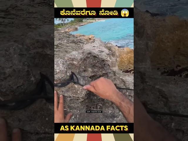 Fishing Amazing Technique Fact | #kannada #facts #karnataka #amazing #youtubeshorts #trendingshorts
