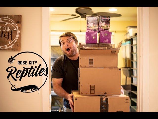 Unboxing $500 Reptile Supplies from Amazon