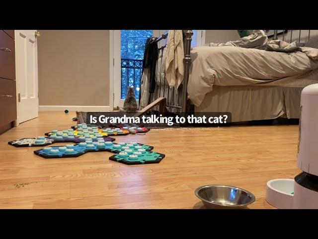 “That’s MY Grandma!” - Billi | BilliSpeaks