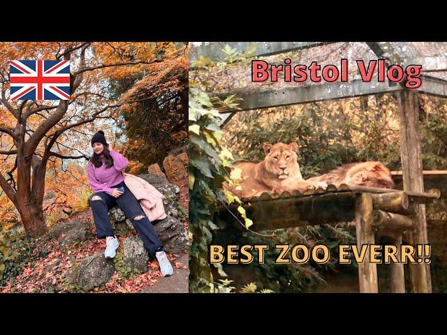 BRISTOL VLOG - Part 1 | Bristol Zoo Gardens