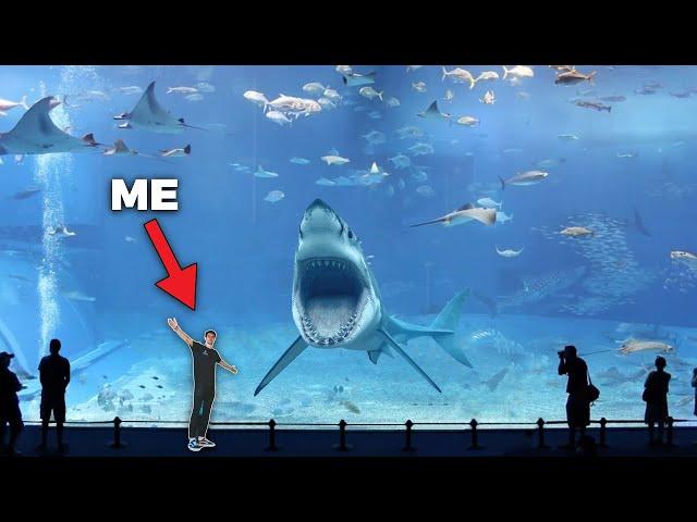 SEA Aquarium - 2nd Largest Aquarium in The World!! - (Private Tour)