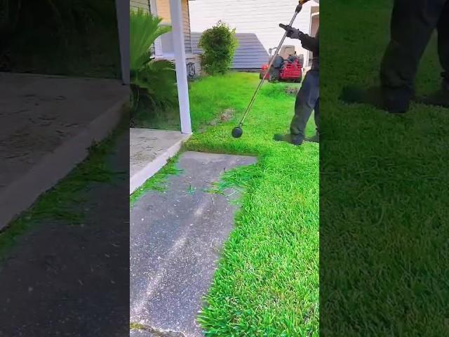Lawn edging process part 3 | edging with precision step by step