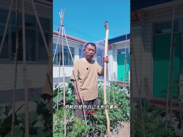 【史楍酼】太闲不等于养生 #养生 #站桩