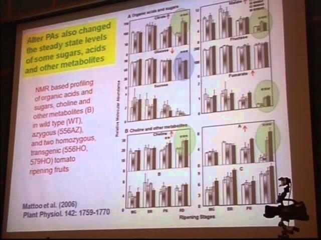 Genetic Engineering of Spermidine Pathway Enhances Phytonutrients Levels