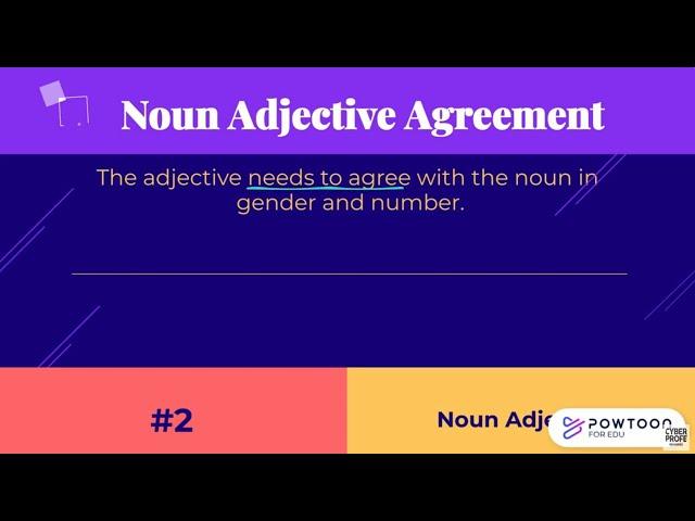 Common Error #2: Noun Adjective Agreement