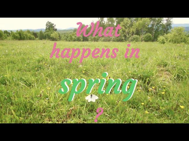 What happens in spring?