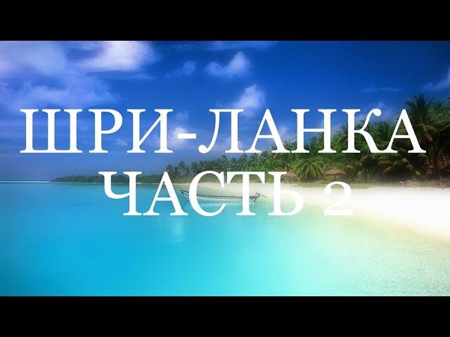 Выпуск 28. Шри-Ланка. Часть 2. Сафари, чай, рыбалка!