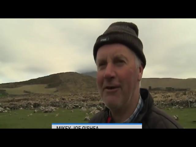 Irish Farmers Glorious Accent Is So Strong Here are the subtitles!!