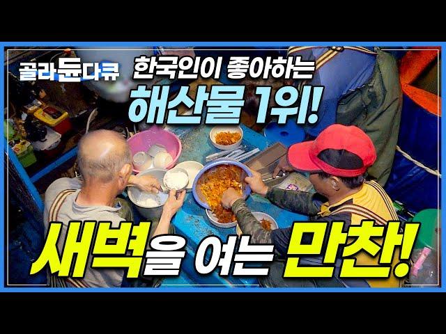 '10년 만에 대풍어! 이 정도는 먹어 줘야지' 아낌없이 차려낸 오징어 회 선상 먹방│한국인이 좋아하는 해산물 1위│울릉도 만선 오징어 잡이│새벽을 여는 만찬│극한직업│#골라듄다큐